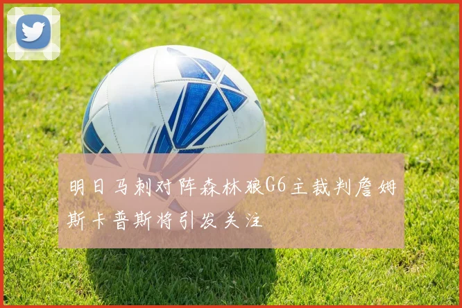 明日马刺对阵森林狼G6主裁判詹姆斯卡普斯将引发关注